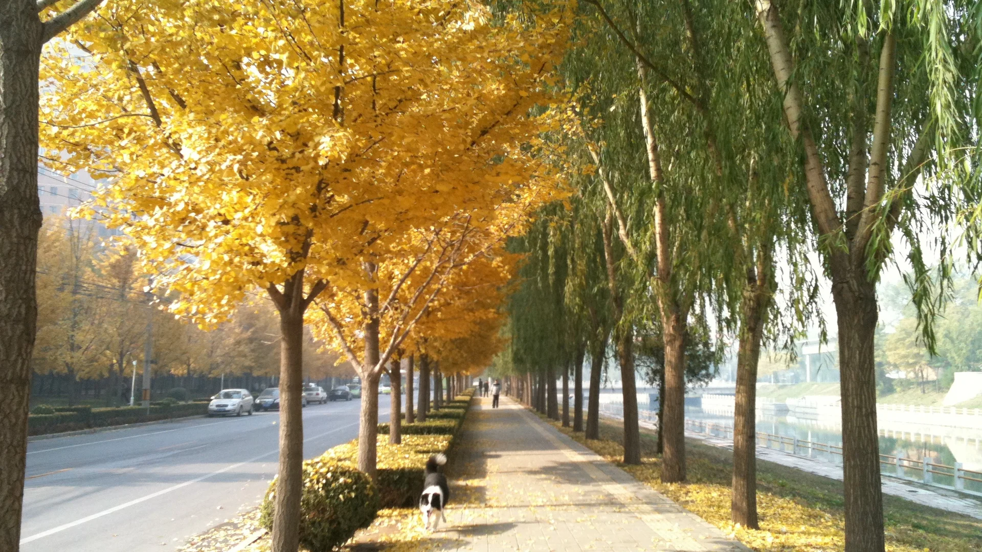 北京秋季旅行攻略 季节攻略