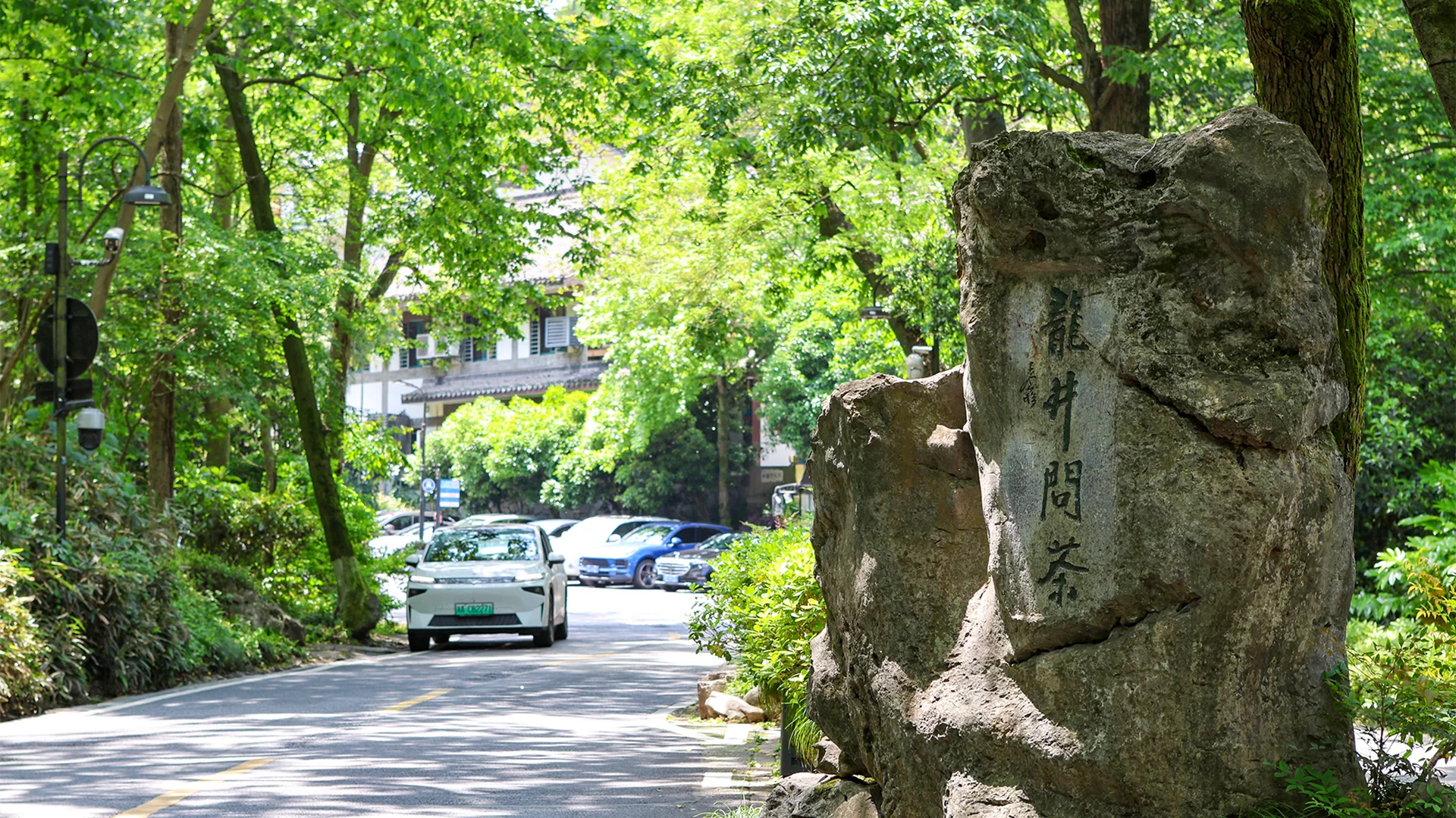 龙井村旅游攻略