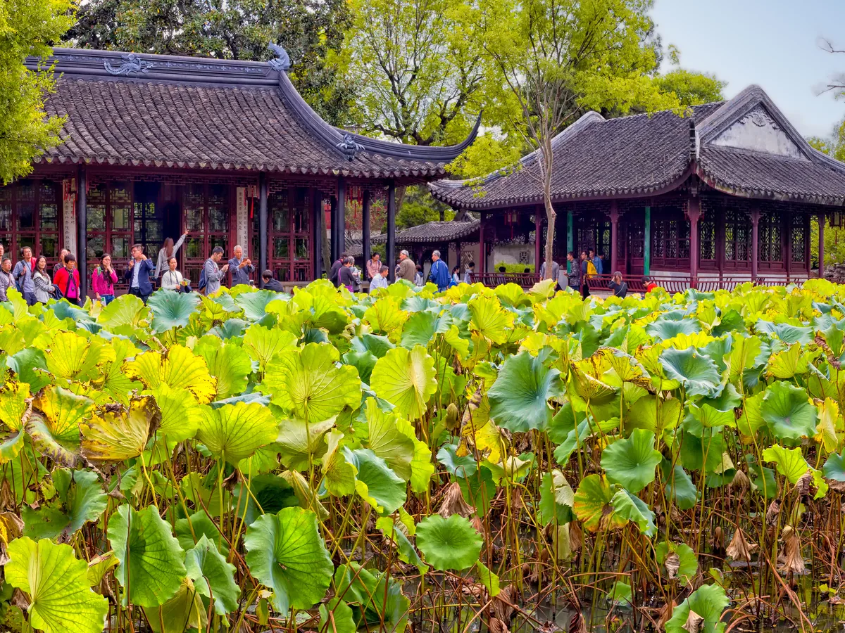 苏州 拙政园